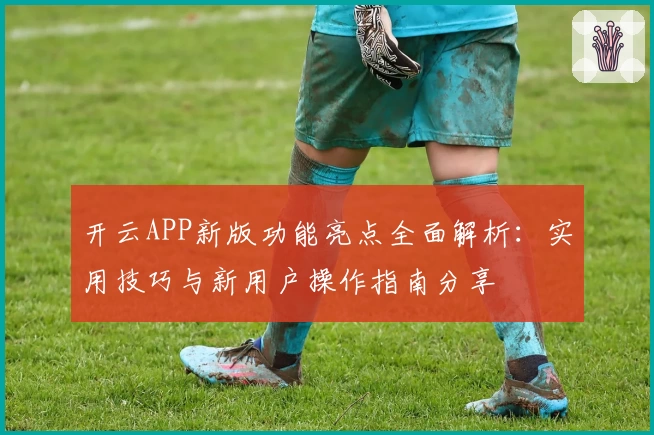 开云APP新版功能亮点全面解析：实用技巧与新用户操作指南分享