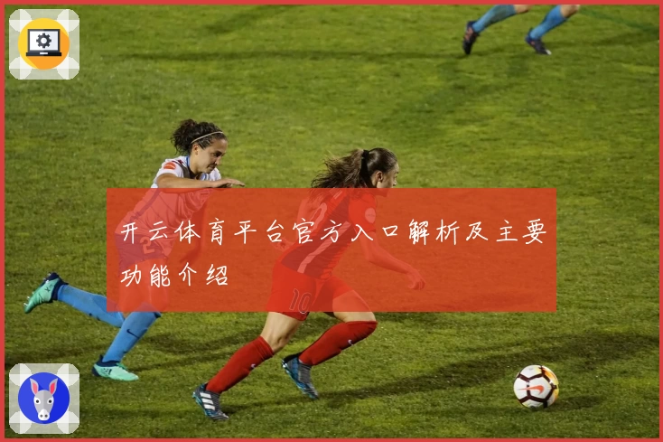 开云体育平台官方入口解析及主要功能介绍
