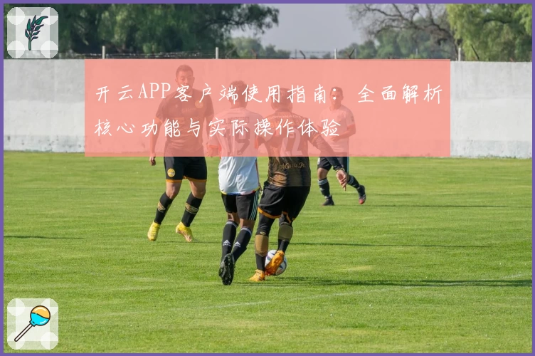 开云APP客户端使用指南：全面解析核心功能与实际操作体验